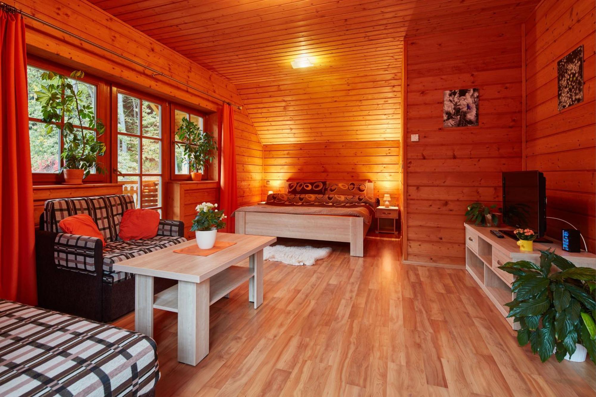 Janky Apartment Janske Lazne